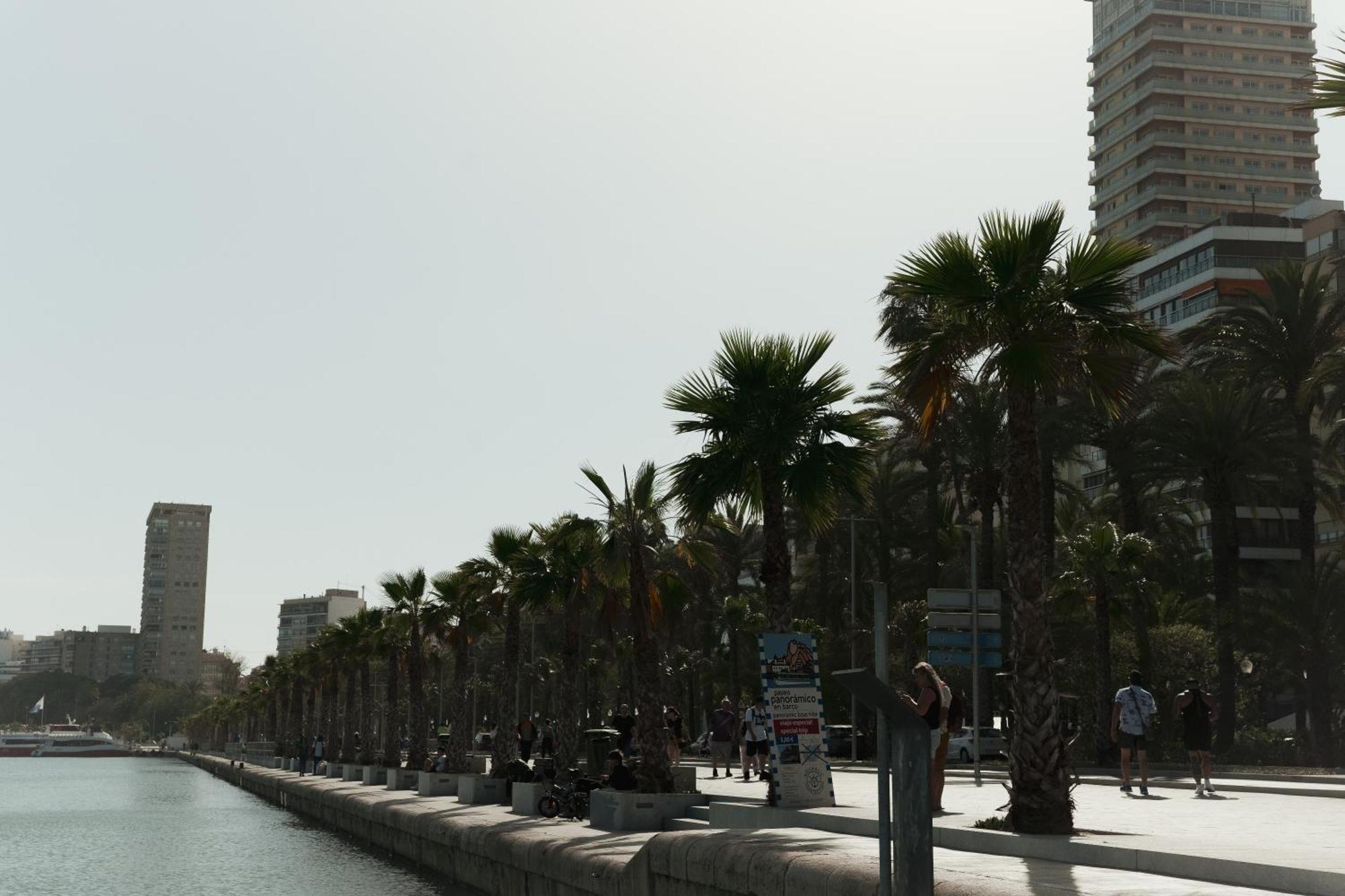 Bs Luxury Estate El Campello Apartment Екстериор снимка